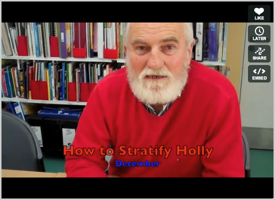 How to stratify holly