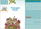 How to Propagate Plants from Softwood Cuttings